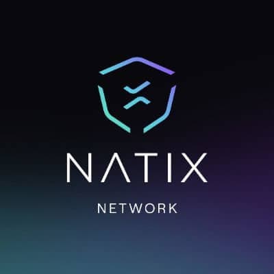 NATIX logo